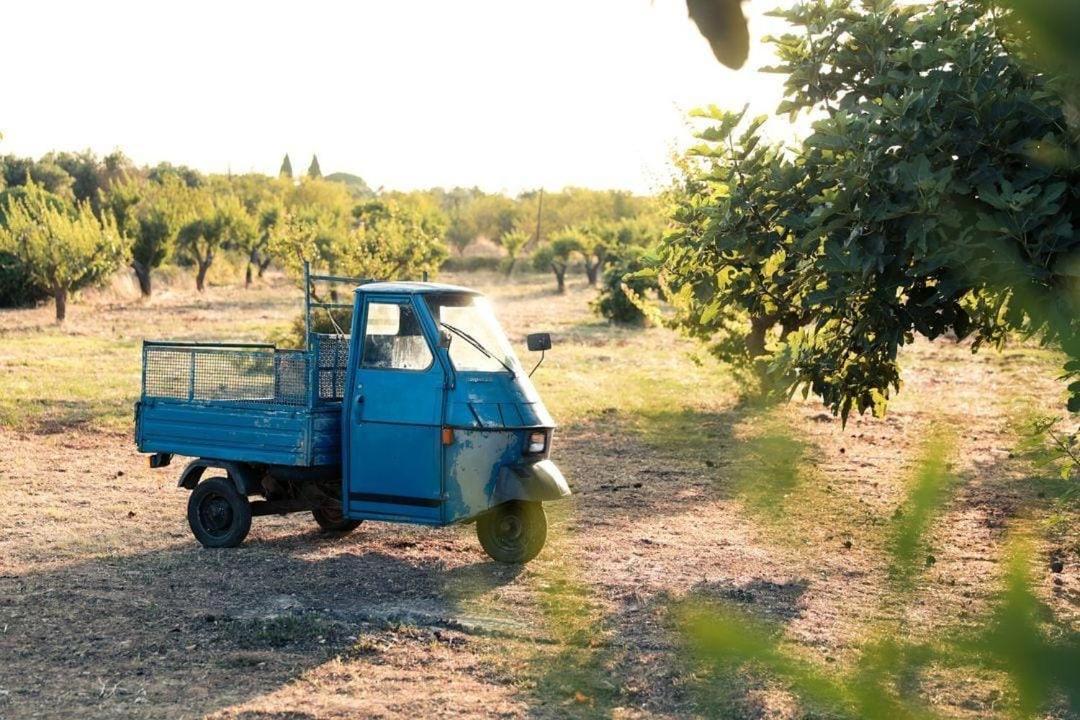 Вилла Casa In Campagna ⋅ Forimia Сан-Вито-деи- Норманни Экстерьер фото